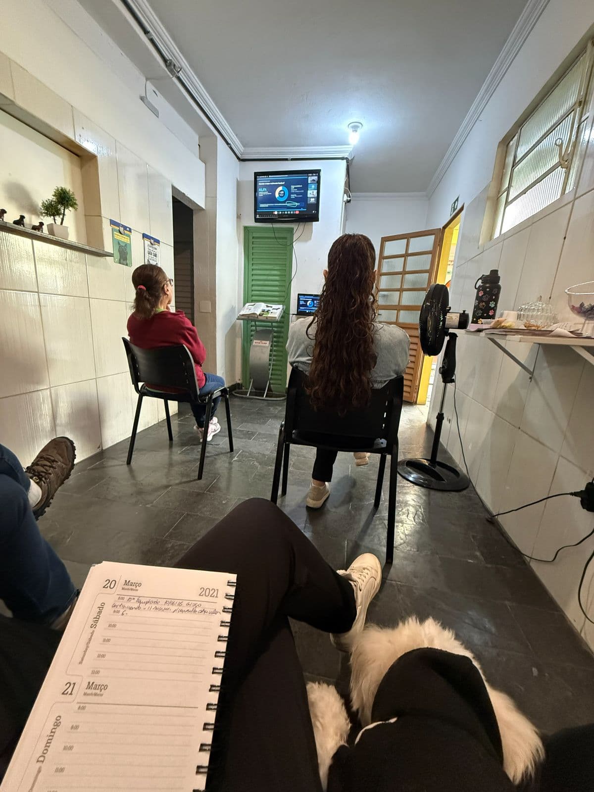 Equipe da Animal Care segurando um cão no colo nos bastidores