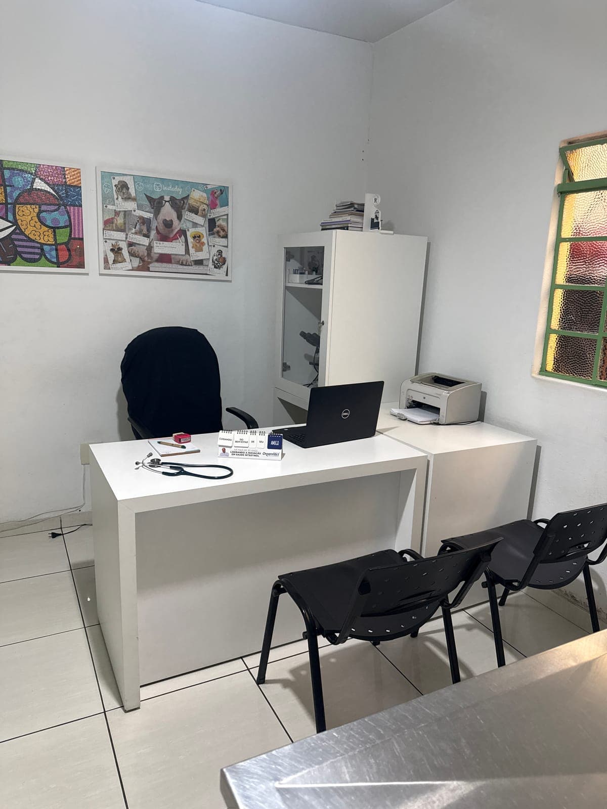 Consulta veterinária na Animal Care com avaliação clínica do pet