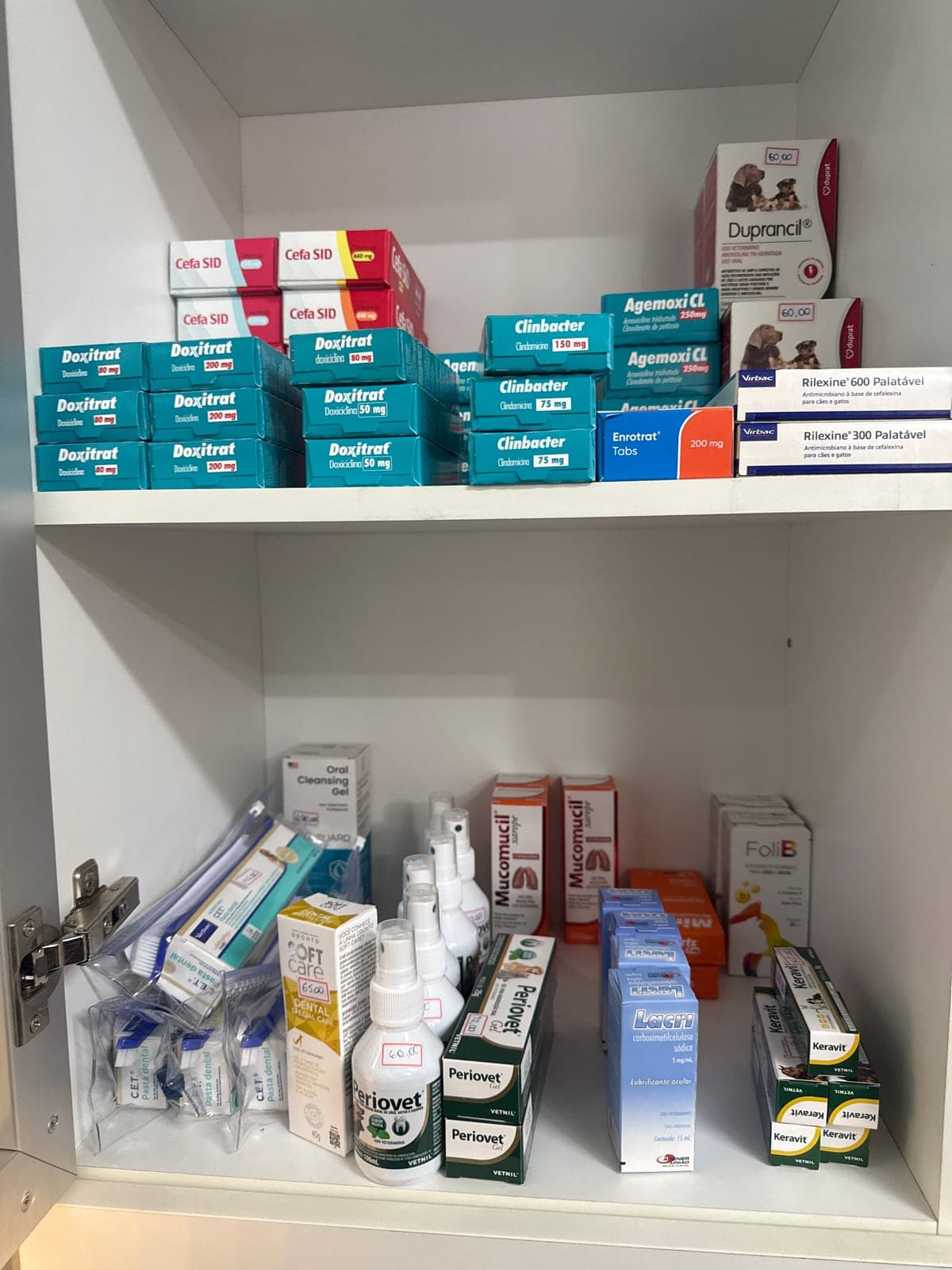 Prateleiras da farmácia veterinária da Animal Care cheias de medicamentos
