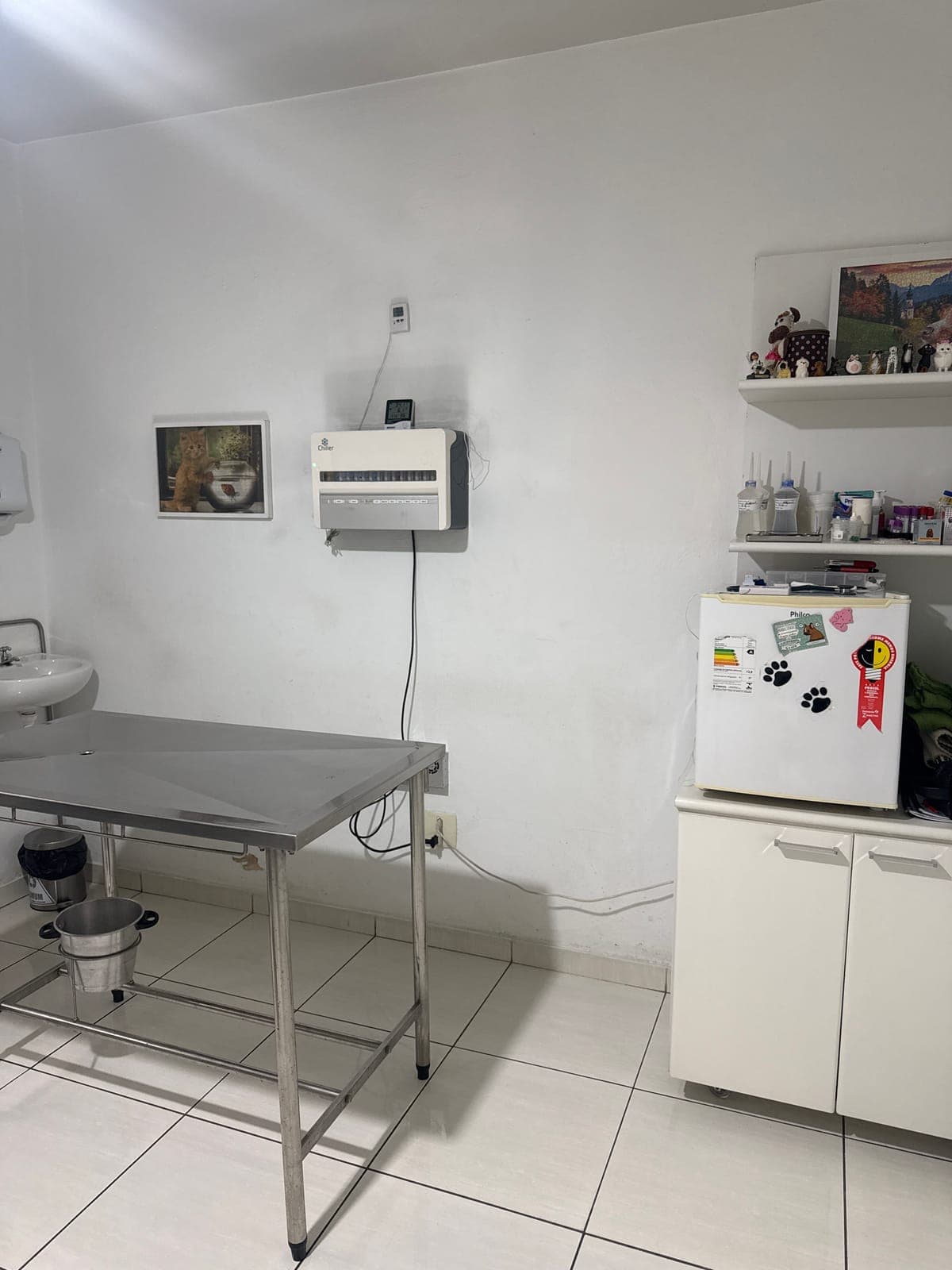 Vacinas e insumos para cães e gatos na Animal Care